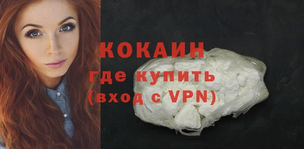 PSILOCYBIN Белокуриха