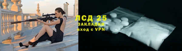 PSILOCYBIN Белокуриха