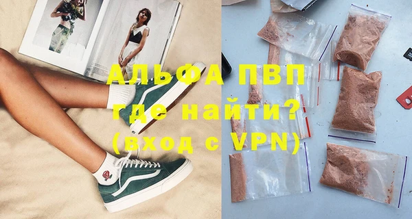 PSILOCYBIN Белокуриха