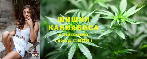 PSILOCYBIN Белокуриха