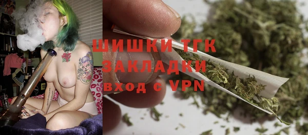 PSILOCYBIN Белокуриха