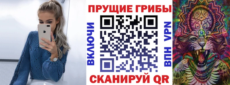 Купить  Новохопёрск  Галлюциногенные грибы мухоморы 